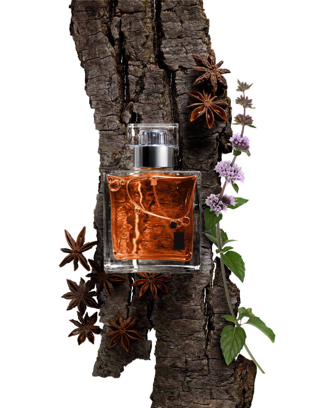 Black Oud