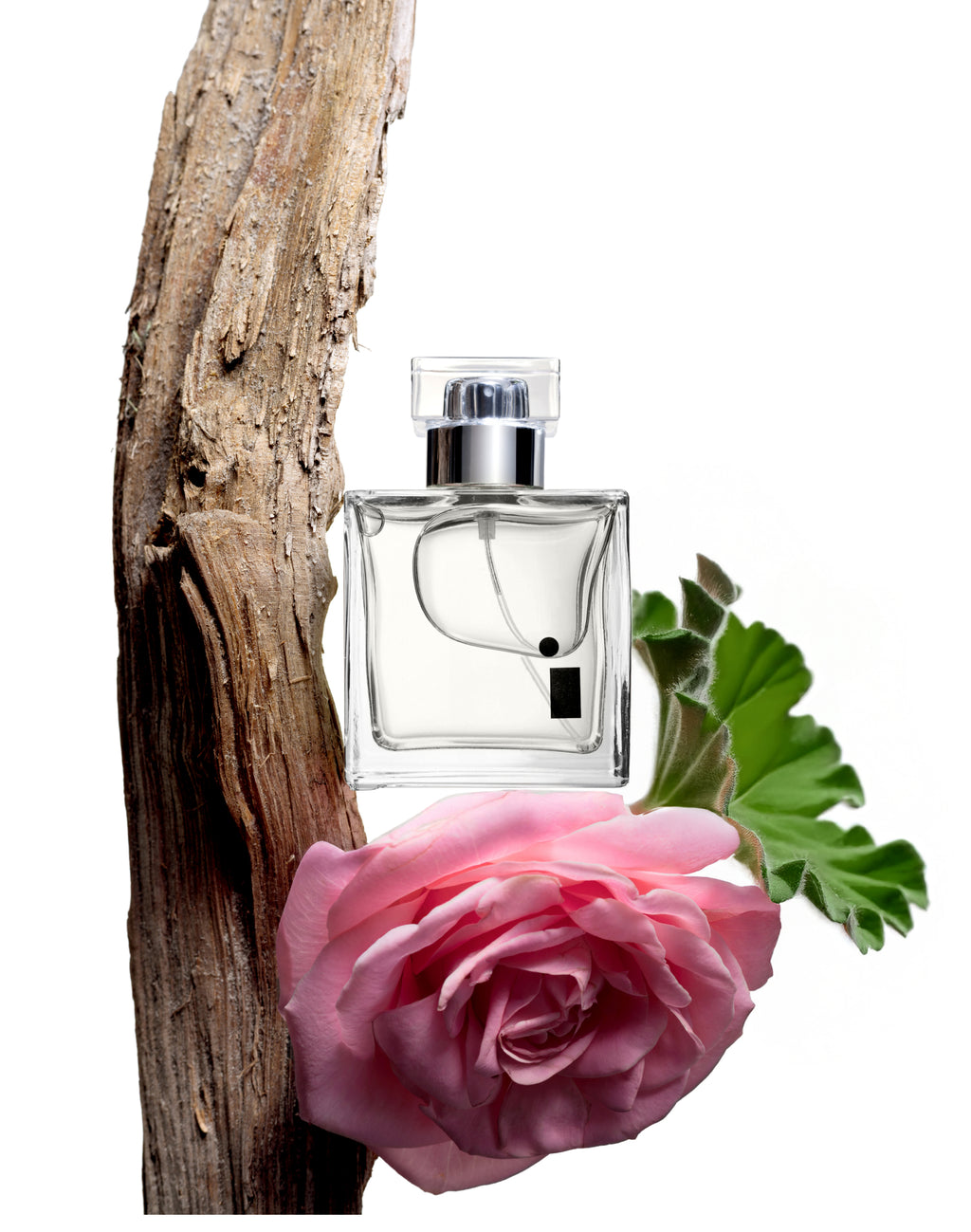 Taif Rose
