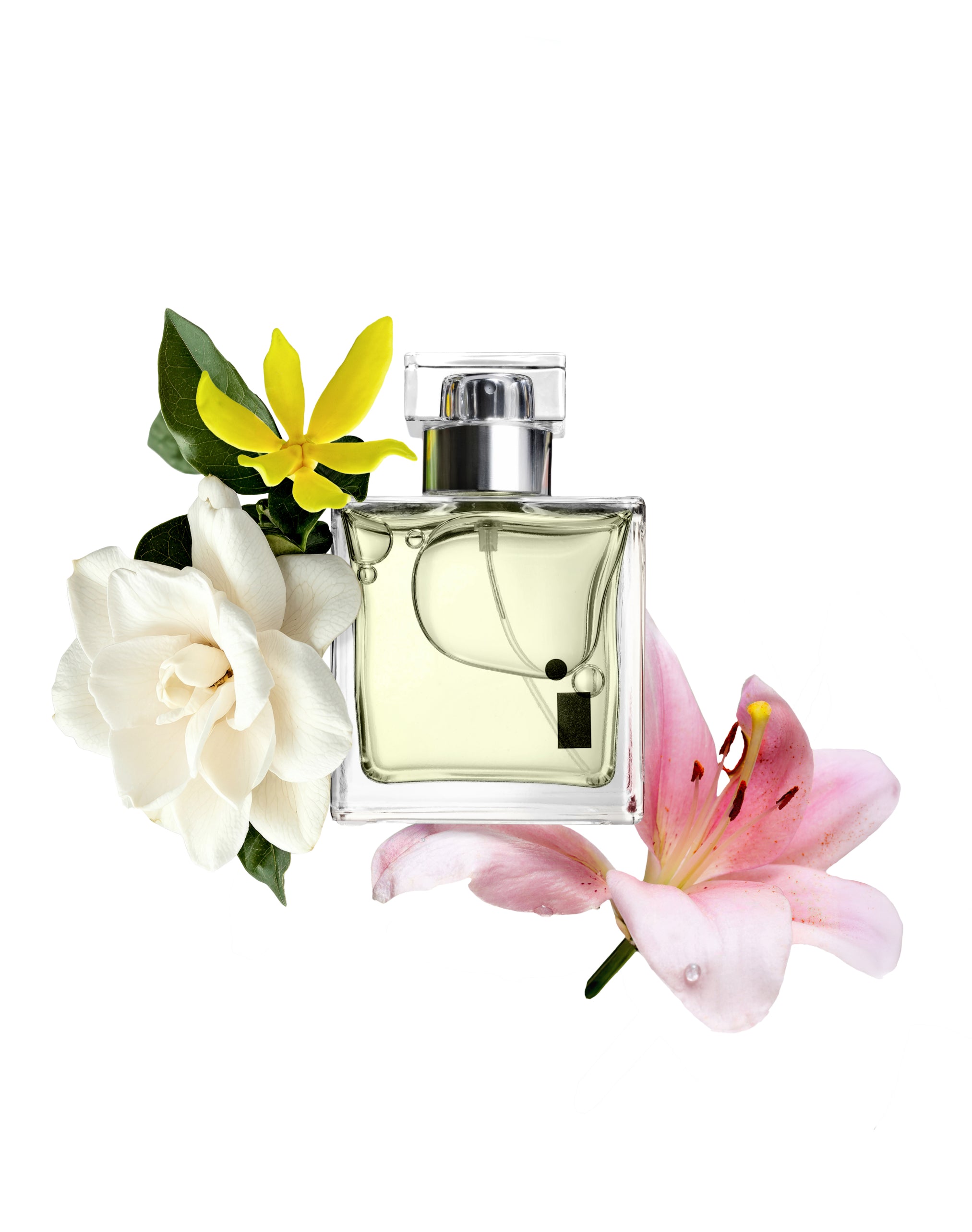 White Gardenia Petals — British Niche Floral EDP – Illuminum London