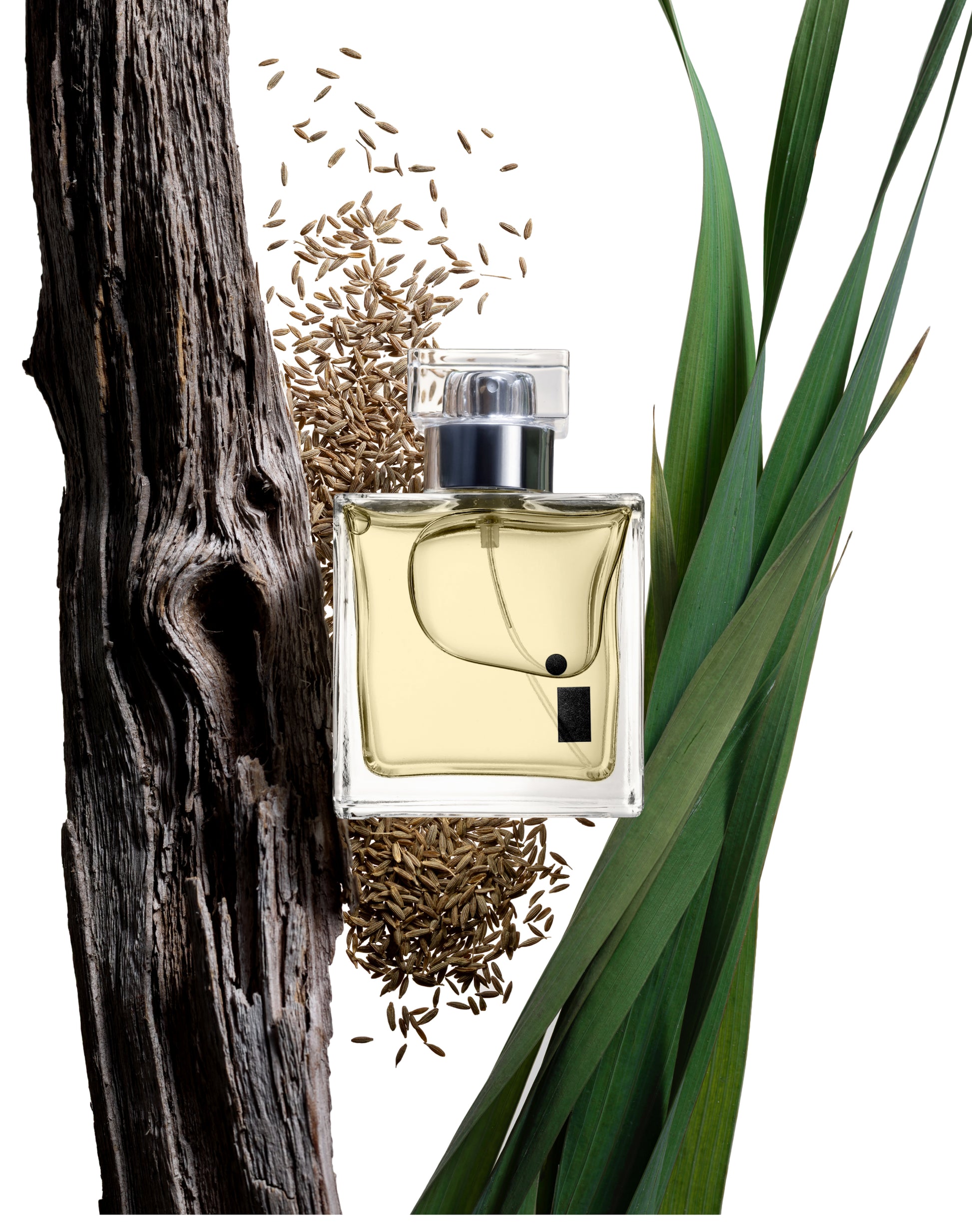 White Oud